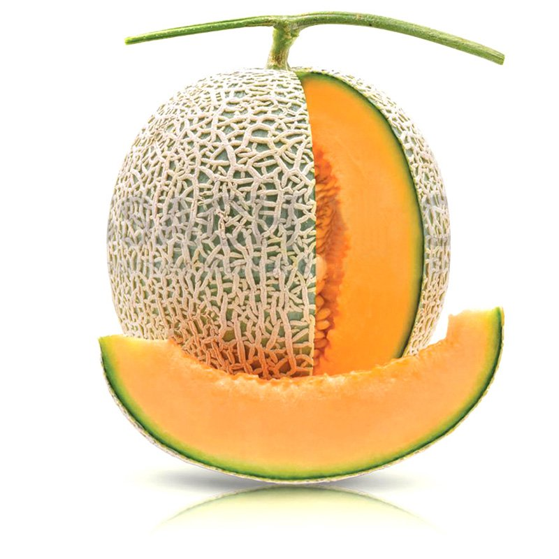 Hạt giống dưa lưới F1